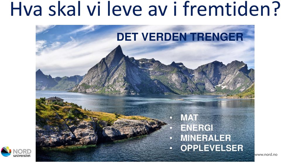 DET VERDEN TRENGER