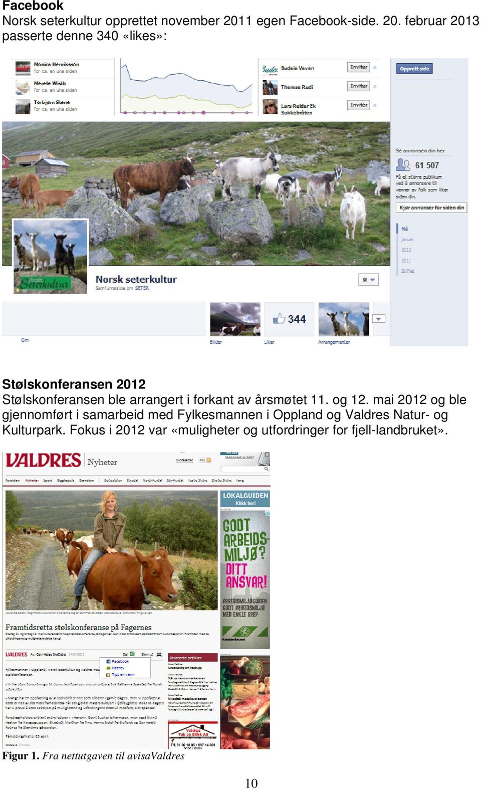 februar 2013 passerte denne 340 «likes»: Stølskonferansen 2012 Stølskonferansen ble arrangert i forkant