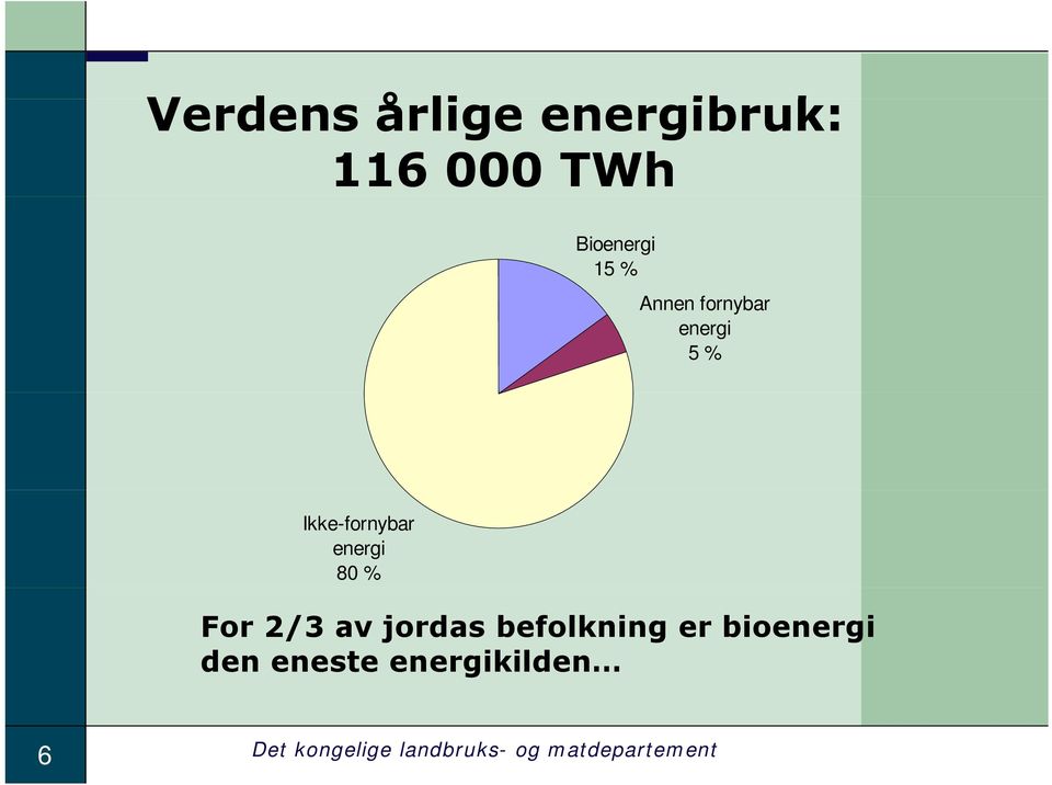 For 2/3 av jordas befolkning er bioenergi den eneste
