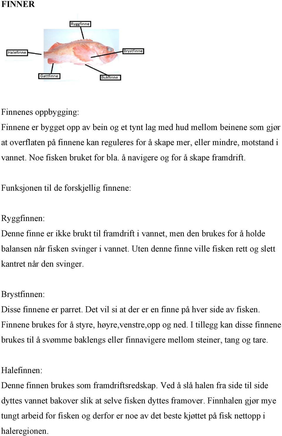 Funksjonen til de forskjellig finnene: Ryggfinnen: Denne finne er ikke brukt til framdrift i vannet, men den brukes for å holde balansen når fisken svinger i vannet.