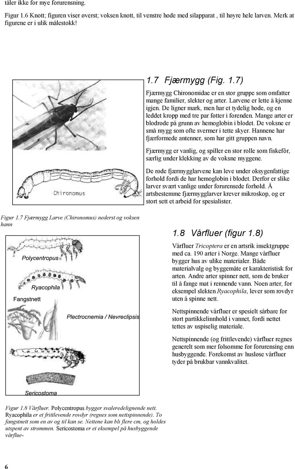 De ligner mark, men har et tydelig hode, og en leddet kropp med tre par føtter i forenden. Mange arter er blodrøde på grunn av hemoglobin i blodet.