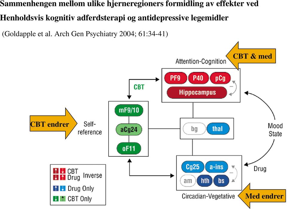 antidepressive legemidler (Goldapple et al.