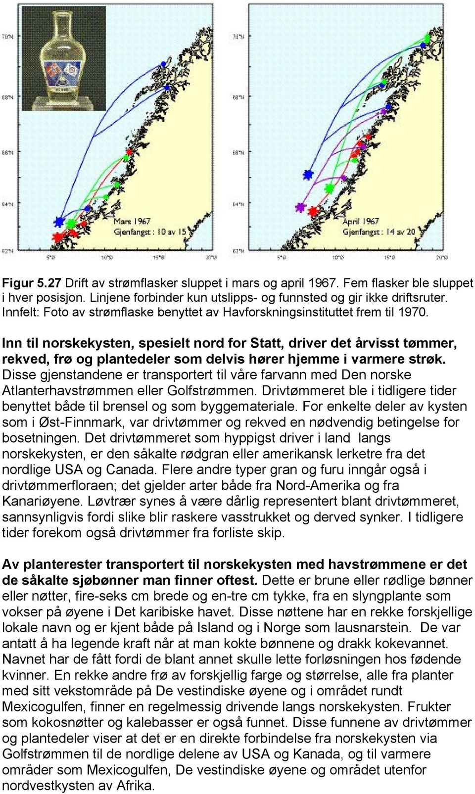 Inn til norskekysten, spesielt nord for Statt, driver det årvisst tømmer, rekved, frø og plantedeler som delvis hører hjemme i varmere strøk.