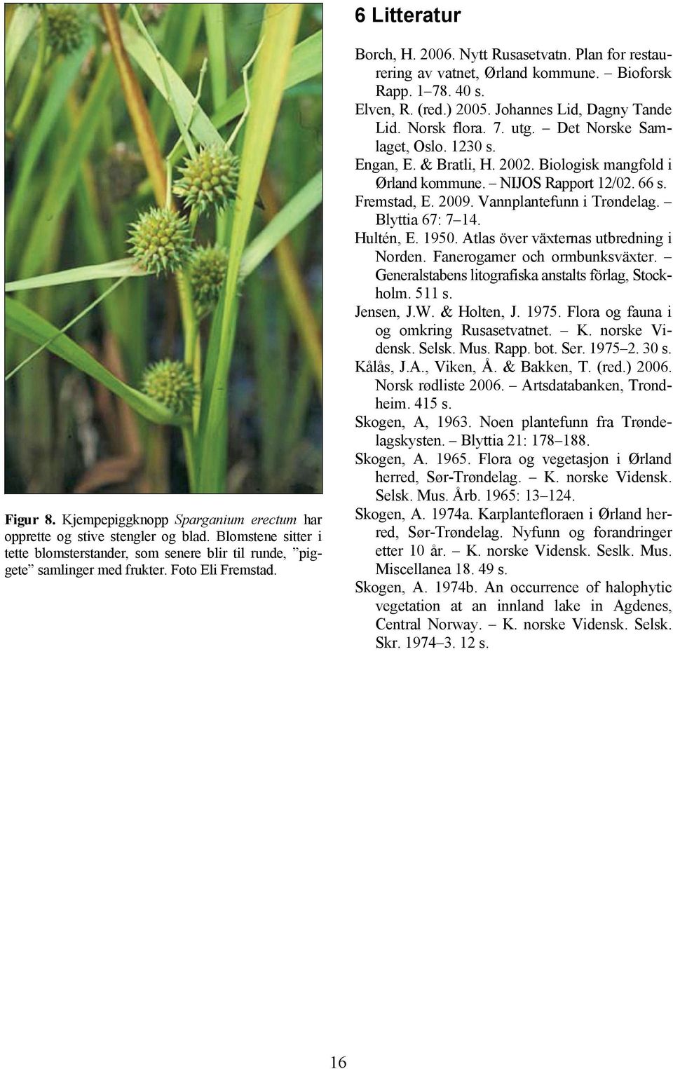 Det Norske Samlaget, Oslo. 1230 s. Engan, E. & Bratli, H. 2002. Biologisk mangfold i Ørland kommune. NIJOS Rapport 12/02. 66 s. Fremstad, E. 2009. Vannplantefunn i Trøndelag. Blyttia 67: 7 14.