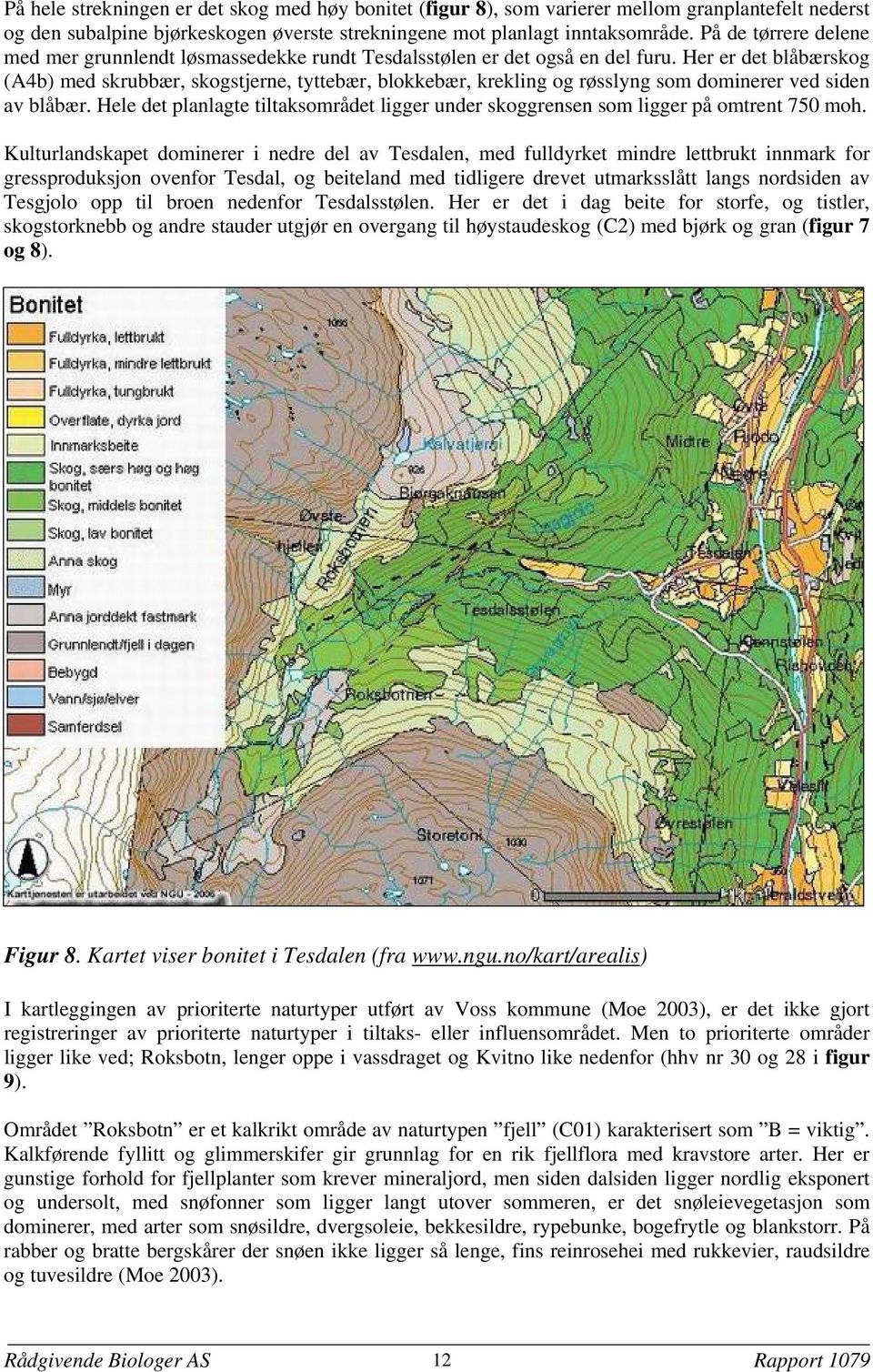 Her er det blåbærskog (A4b) med skrubbær, skogstjerne, tyttebær, blokkebær, krekling og røsslyng som dominerer ved siden av blåbær.