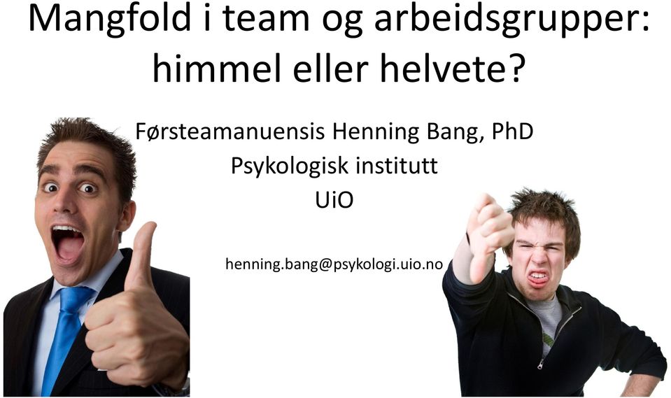 Førsteamanuensis Henning Bang, PhD