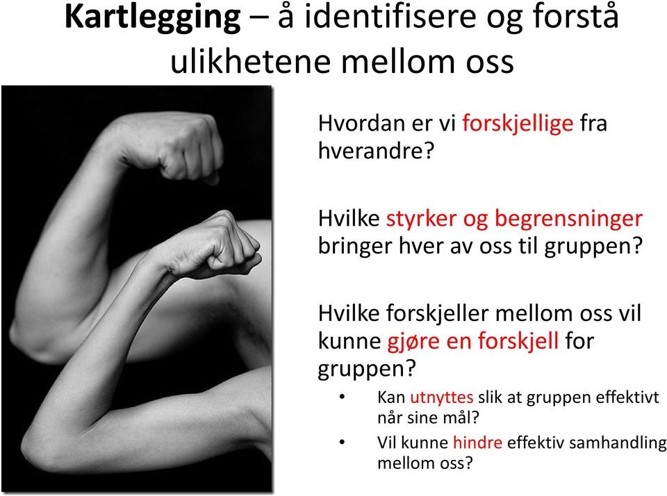 Hvilke styrker og begrensninger bringer hver av oss til gruppen?