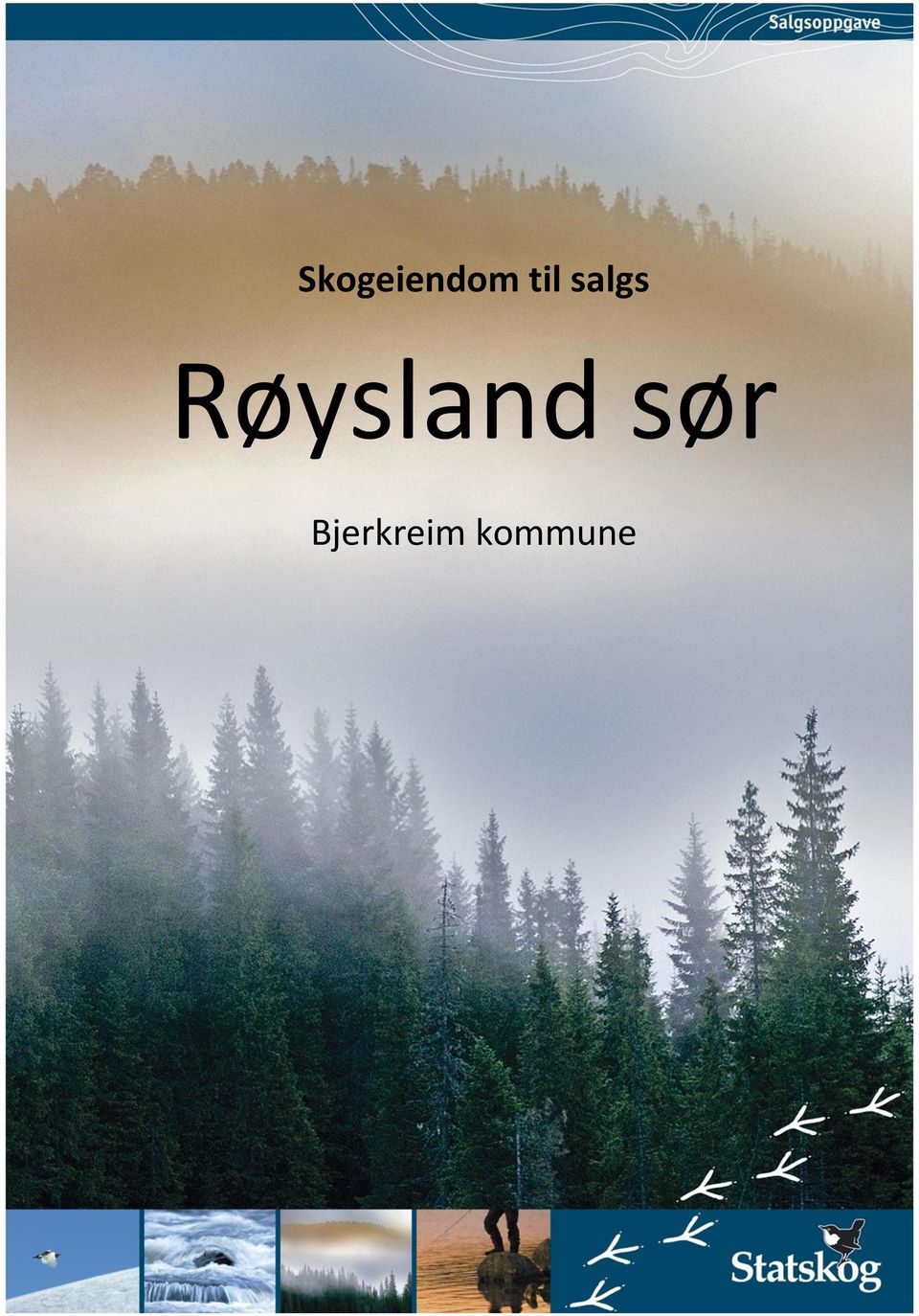 Røysland sør