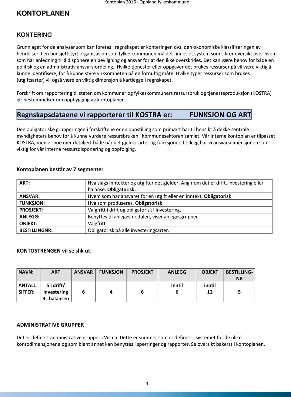 Det kan være behov for både en politisk og en administrativ ansvarsfordeling.