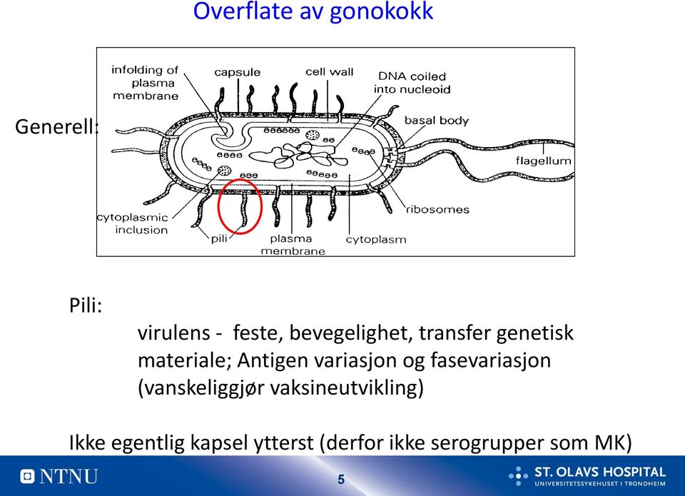 variasjon og fasevariasjon (vanskeliggjør