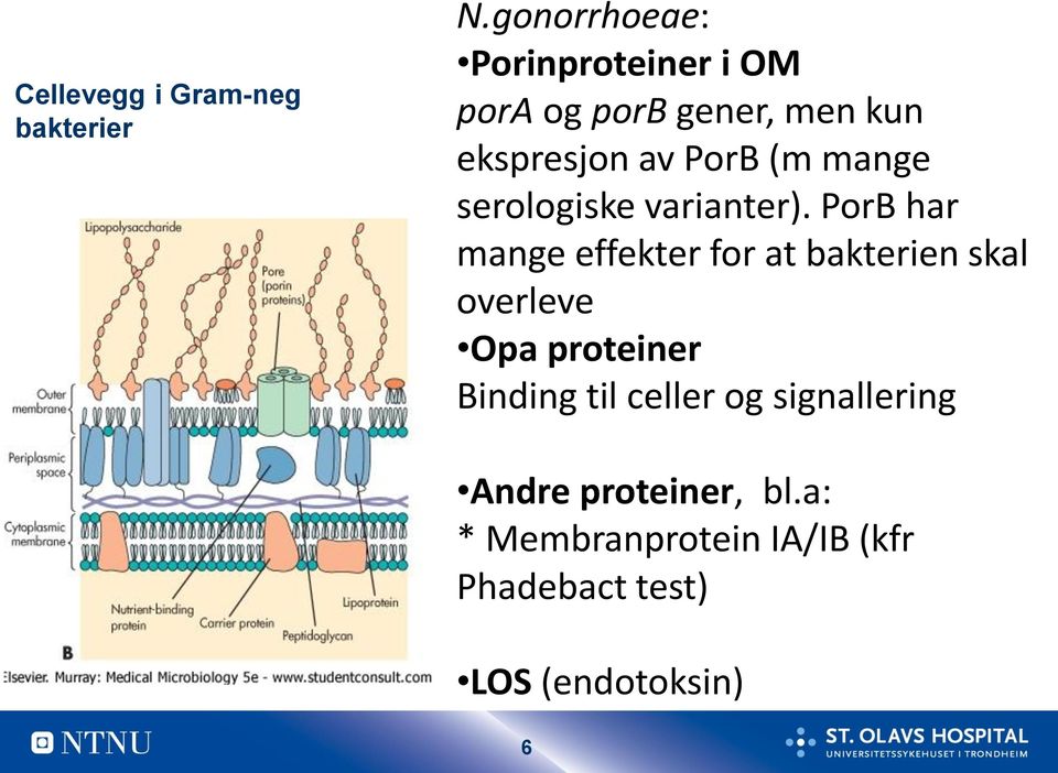 mange serologiske varianter).