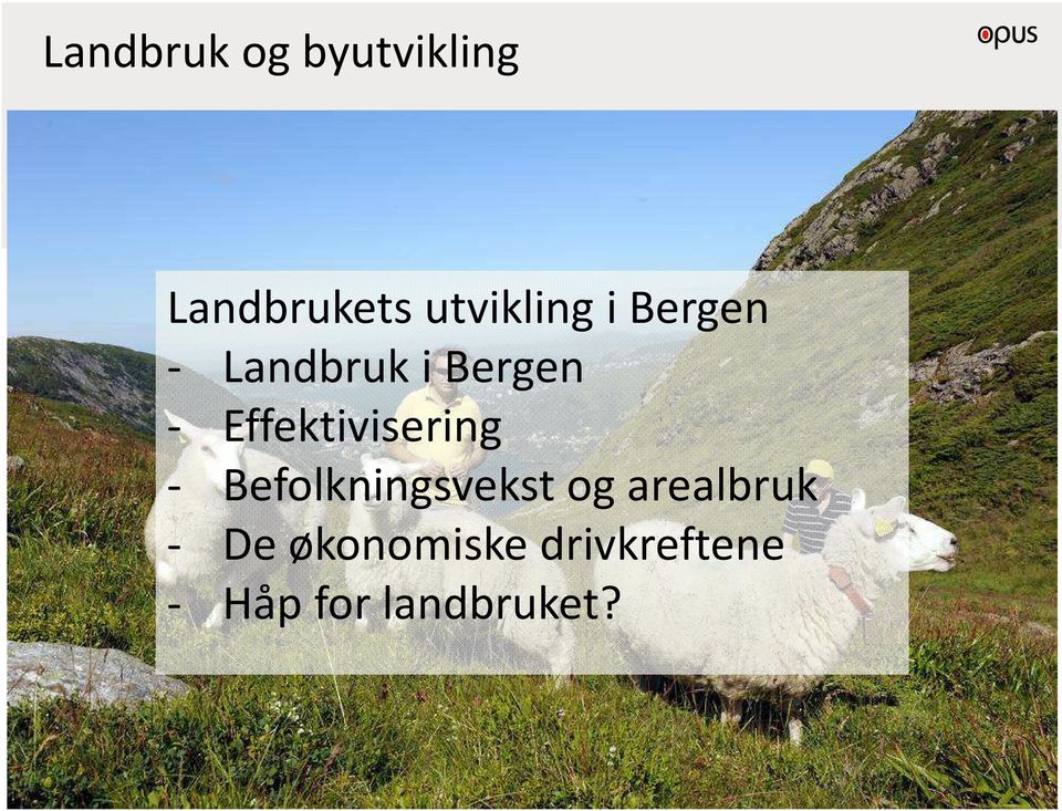 Effektivisering - Befolkningsvekst og