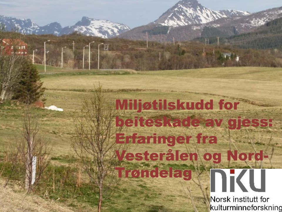 miljøtilskudd Erfaringer for