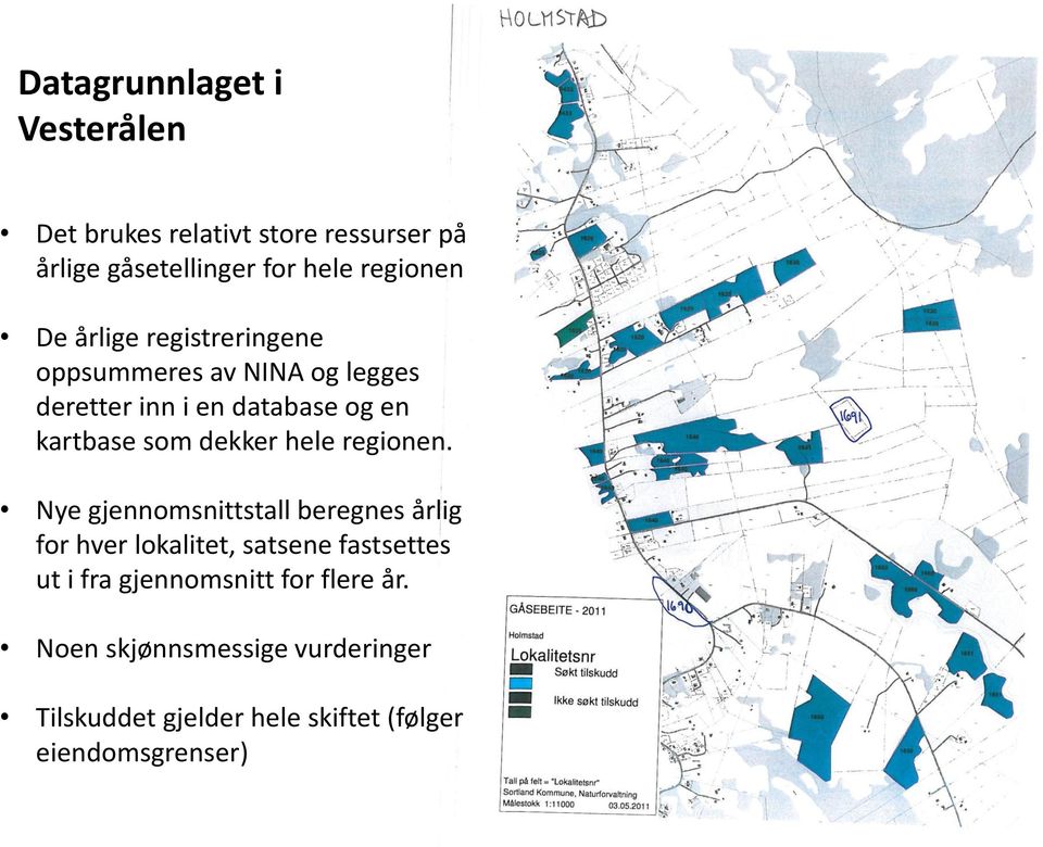 dekker hele regionen.