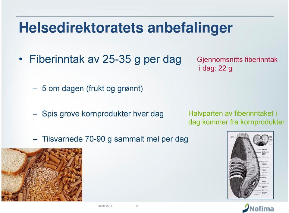 Spis grove kornprodukter hver dag Halvparten av fiberinntaket i dag