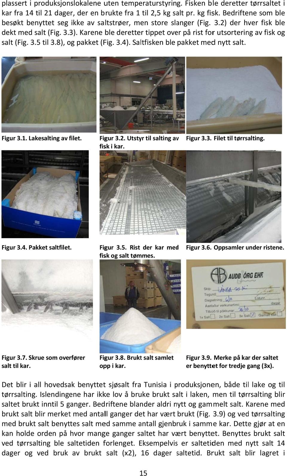 Karene ble deretter tippet over på rist forr utsortering av fisk og salt (Fig. 3.5 til 3.8), og pakket (Fig. 3.4). Saltfisken ble pakket medd nytt salt. Figur 3.1. Lakesalting av filet. f Figur 3.2.