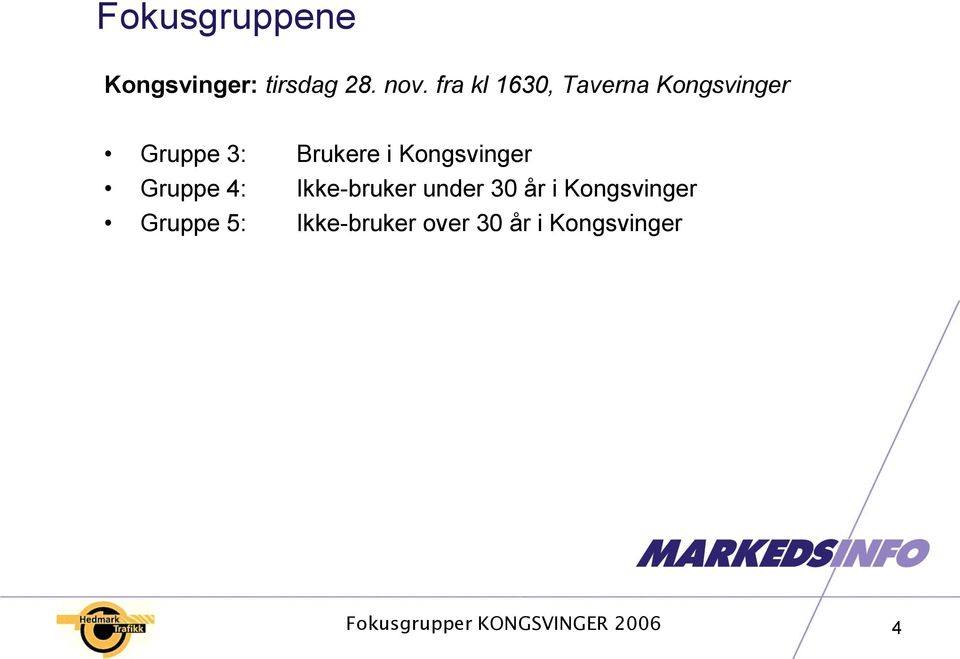 i Kongsvinger Gruppe 4: Ikke-bruker under 30 år i