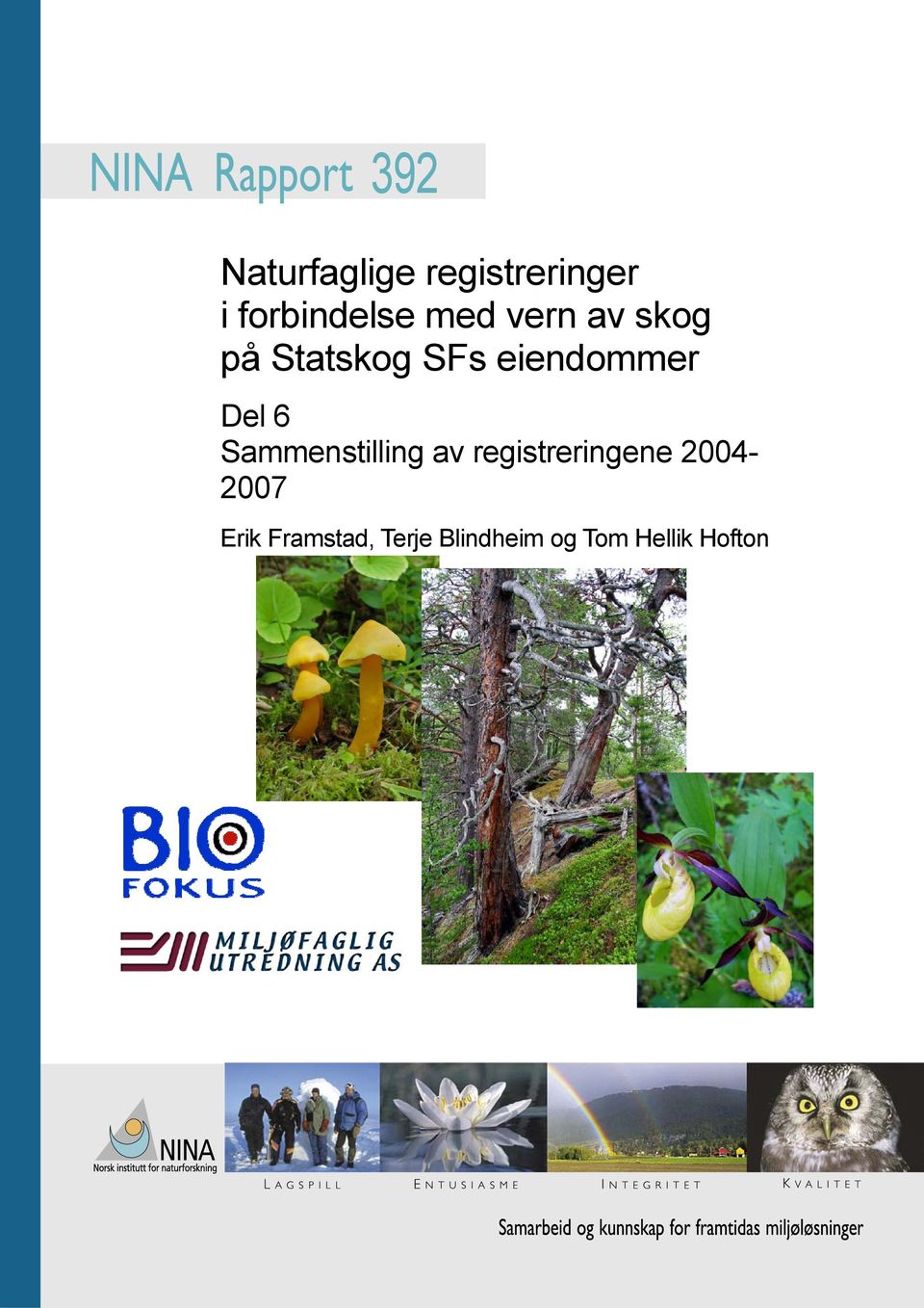 6 Sammenstilling av registreringene 2004-2007