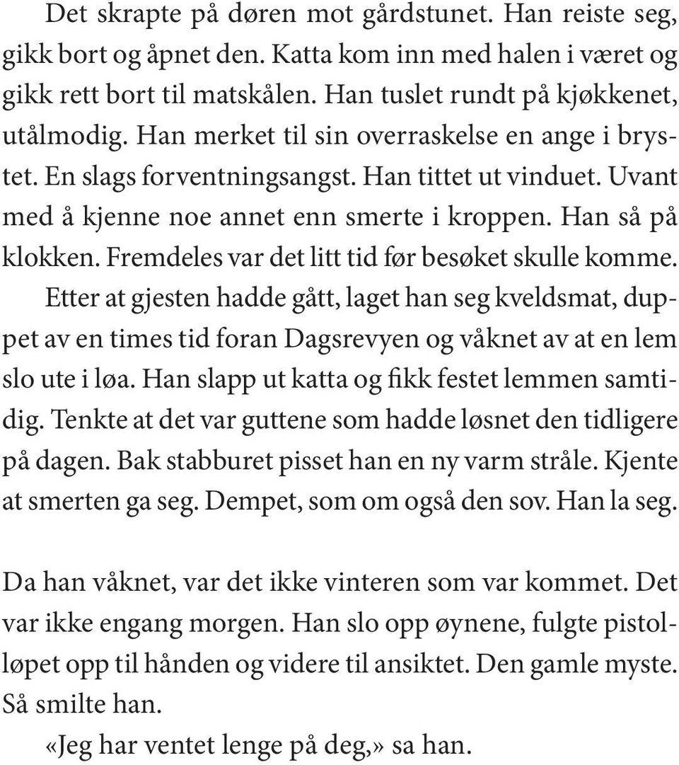 Fremdeles var det litt tid før be søket skul le kom me. Etter at gjes ten had de gått, la get han seg kvelds mat, duppet av en ti mes tid foran Dagsrevyen og våk net av at en lem slo ute i løa.