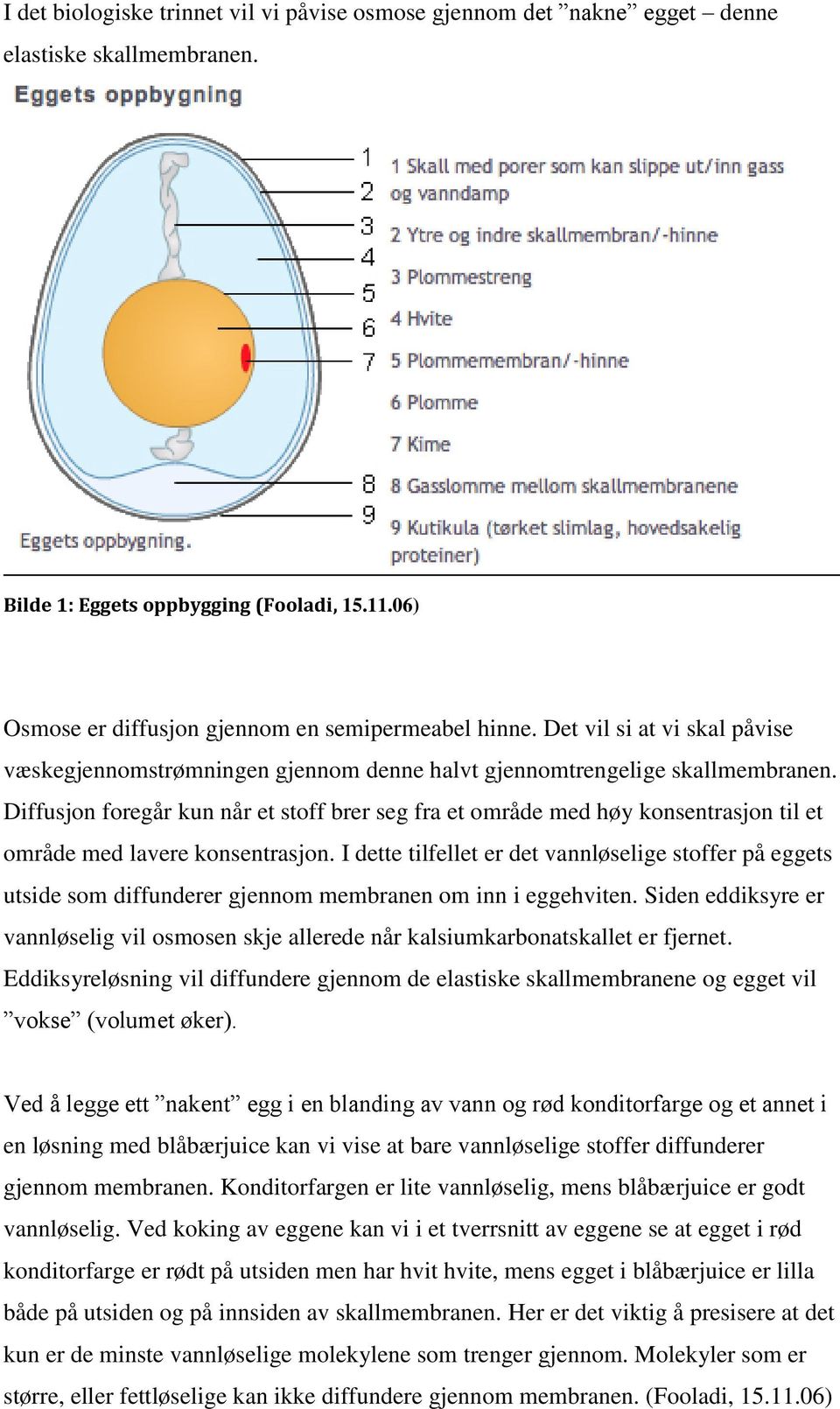 Diffusjon foregår kun når et stoff brer seg fra et område med høy konsentrasjon til et område med lavere konsentrasjon.