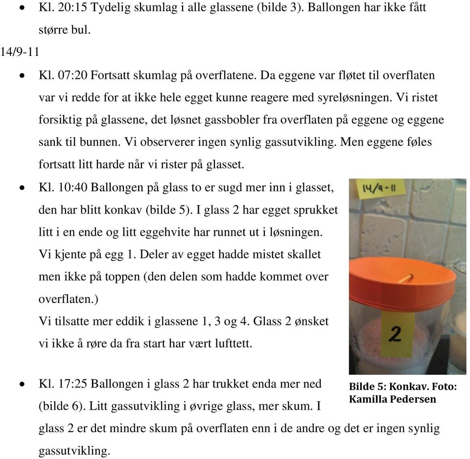 Vi ristet forsiktig på glassene, det løsnet gassbobler fra overflaten på eggene og eggene sank til bunnen. Vi observerer ingen synlig gassutvikling.