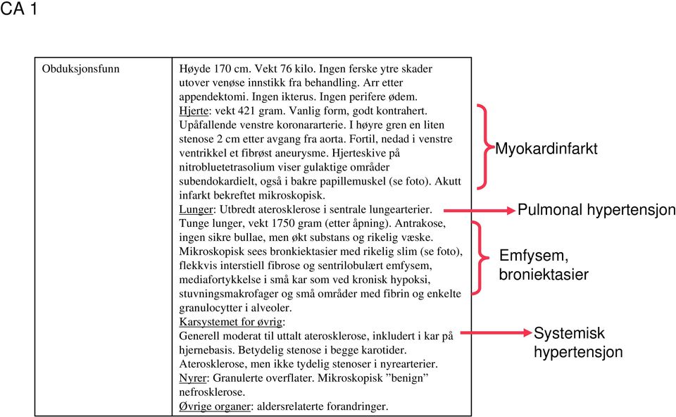 Hjerteskive på nitrobluetetrasolium viser gulaktige områder subendokardielt, også i bakre papillemuskel (se foto). Akutt infarkt bekreftet mikroskopisk.