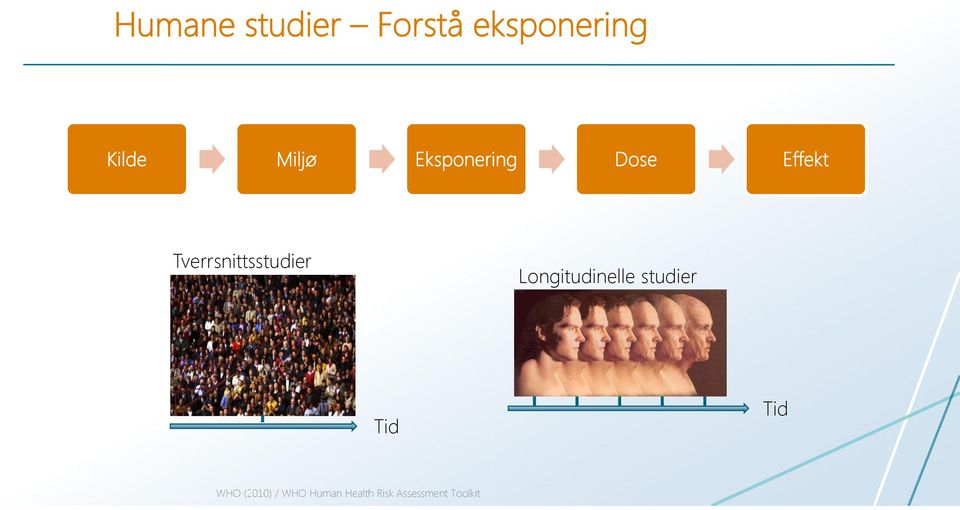 Tverrsnittsstudier Longitudinelle studier