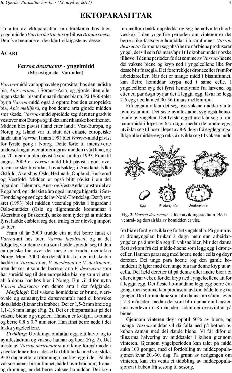 ACARI Varroa destructor - yngelmidd (Mesostigmata: Varroidae) Varroa-midd var opphaveleg parasittar hos den indiske bia, Apis cerana, i Søraust-Asia, og gjorde liten eller ingen skade i bisamfunna