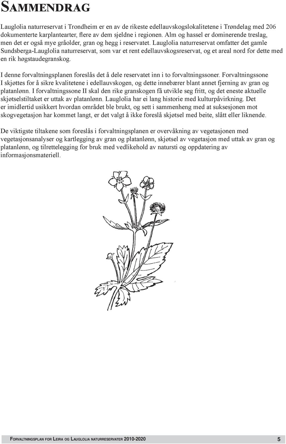 Lauglolia naturreservat omfatter det gamle Sundsberga-Lauglolia naturreservat, som var et rent edellauvskogsreservat, og et areal nord for dette med en rik høgstaudegranskog.