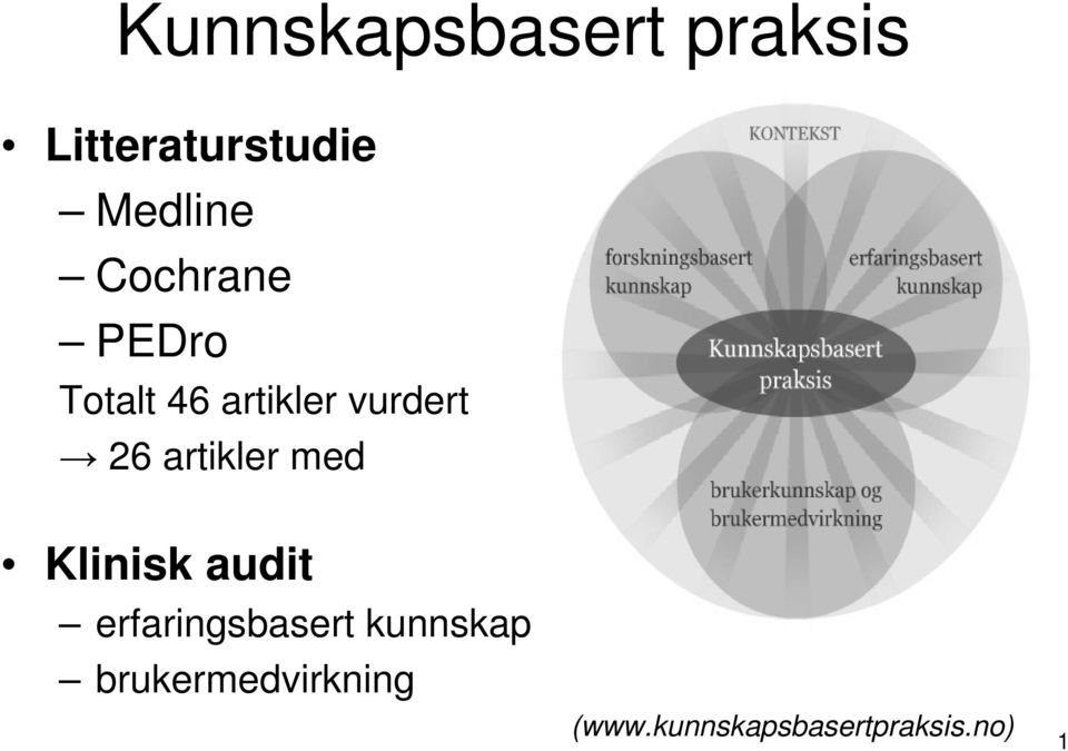 artikler med Klinisk audit erfaringsbasert