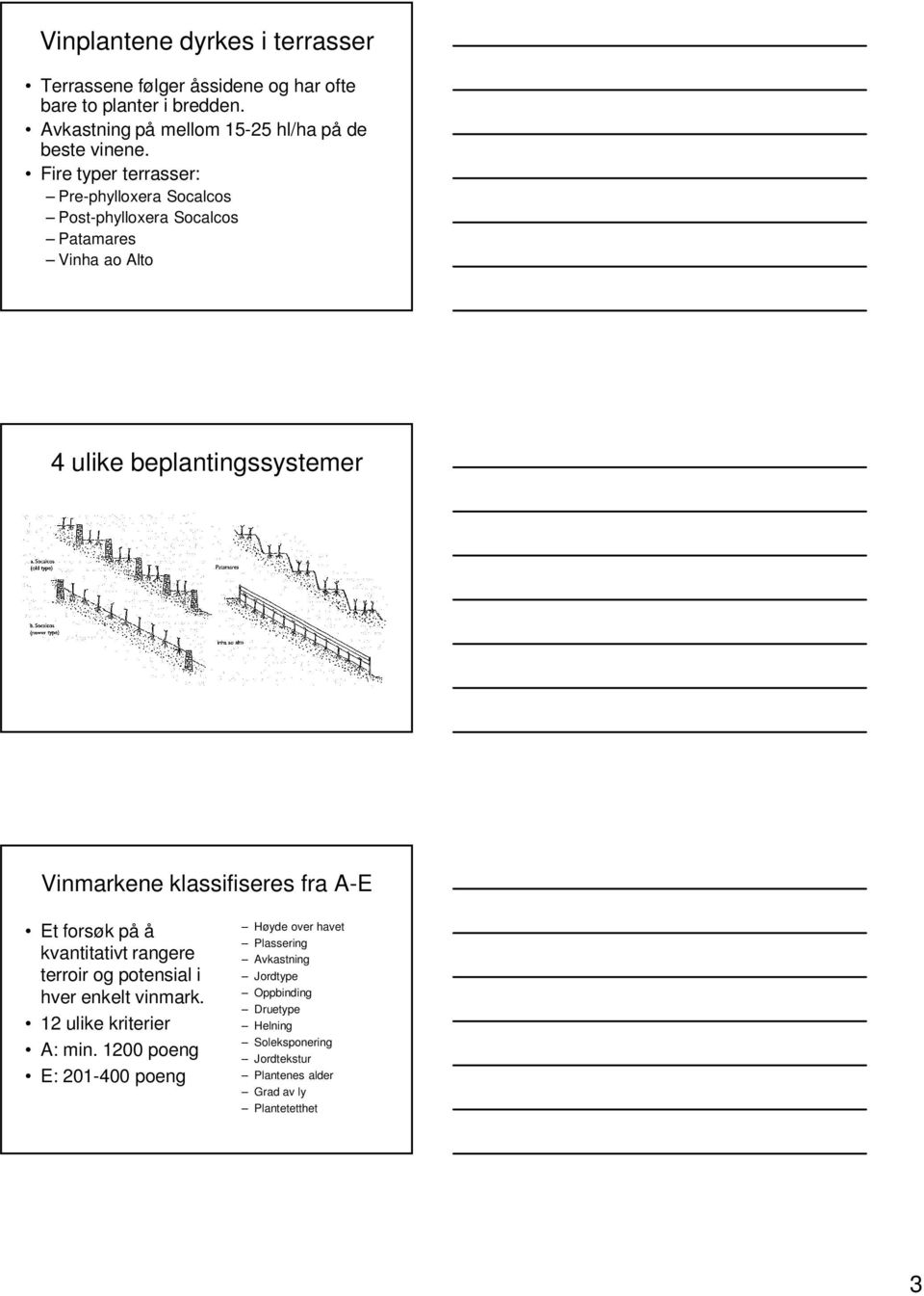 Fire typer terrasser: Pre-phylloxera Socalcos Post-phylloxera Socalcos Patamares Vinha ao Alto 4 ulike beplantingssystemer Vinmarkene