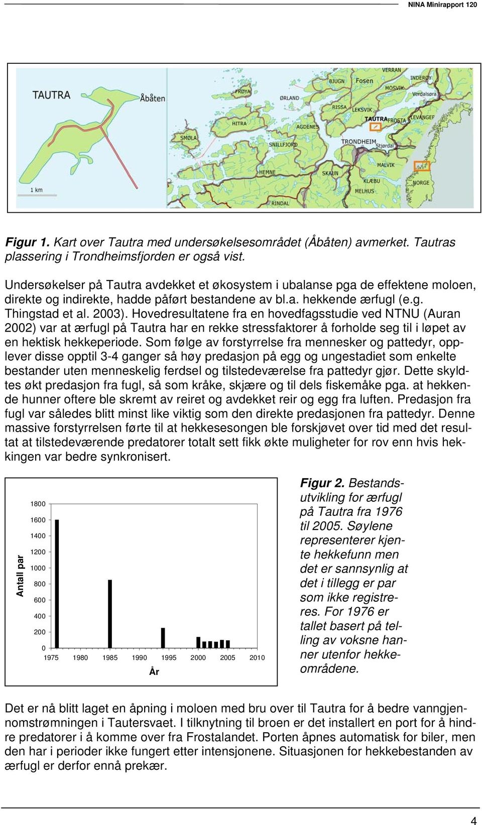 Hovedresultatene fra en hovedfagsstudie ved NTNU (Auran 2002) var at ærfugl på Tautra har en rekke stressfaktorer å forholde seg til i løpet av en hektisk hekkeperiode.