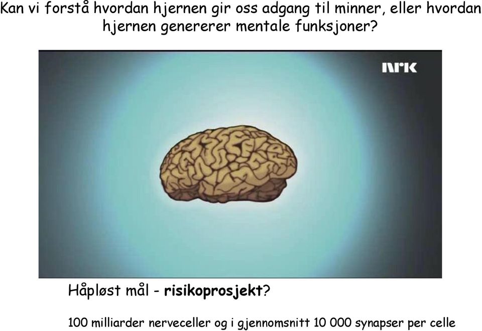 funksjoner? Håpløst mål - risikoprosjekt?