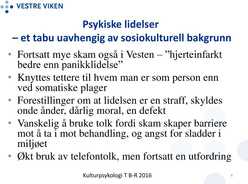 lidelsen er en straff, skyldes onde ånder, dårlig moral, en defekt Vanskelig å bruke tolk fordi skam skaper