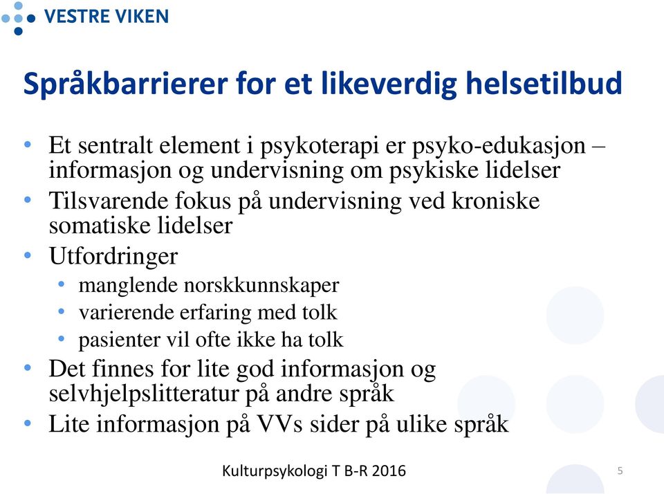 lidelser Utfordringer manglende norskkunnskaper varierende erfaring med tolk pasienter vil ofte ikke ha tolk