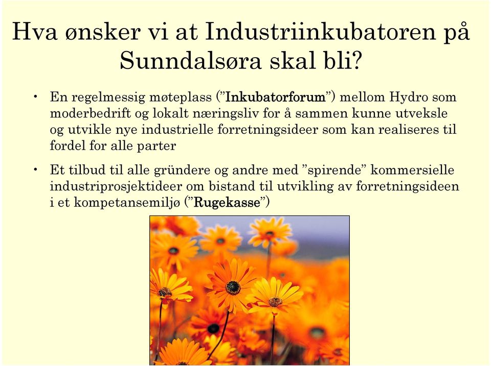 kunne utveksle og utvikle nye industrielle forretningsideer som kan realiseres til fordel for alle parter Et