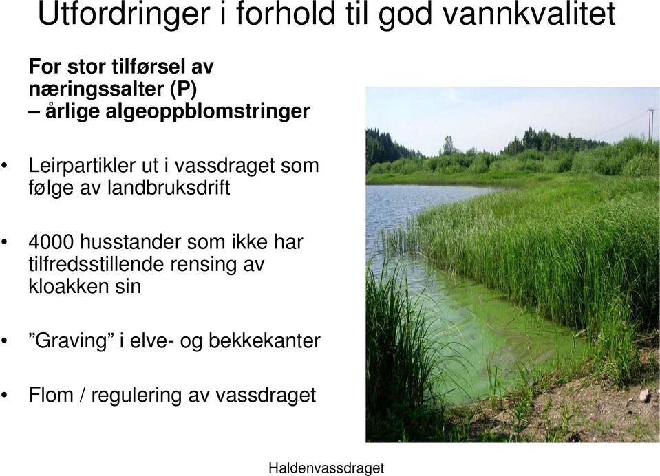 vassdraget som følge av landbruksdrift 4000 husstander som ikke har