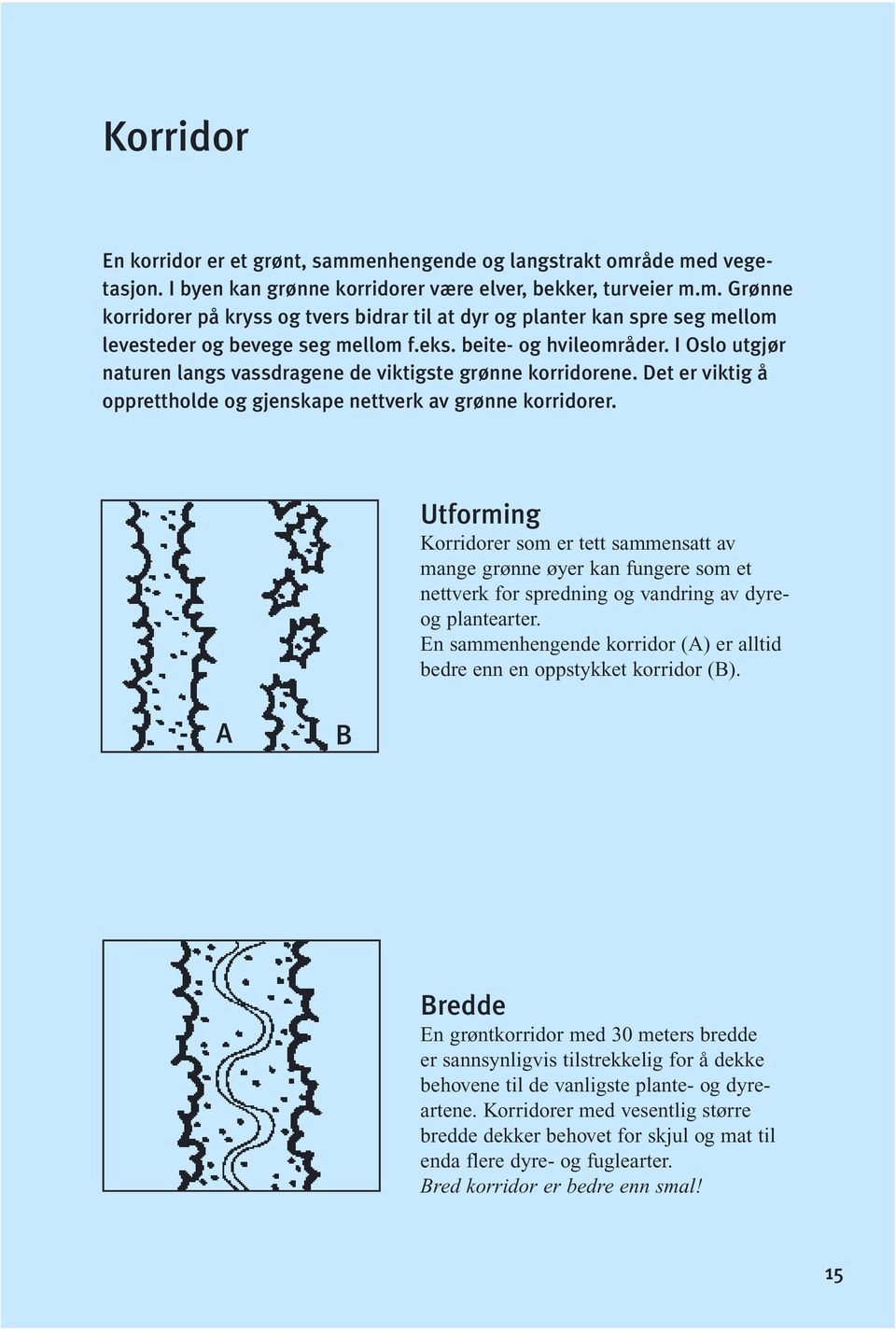 Utforming Korridorer som er tett sammensatt av mange grønne øyer kan fungere som et nettverk for spredning og vandring av dyreog plantearter.