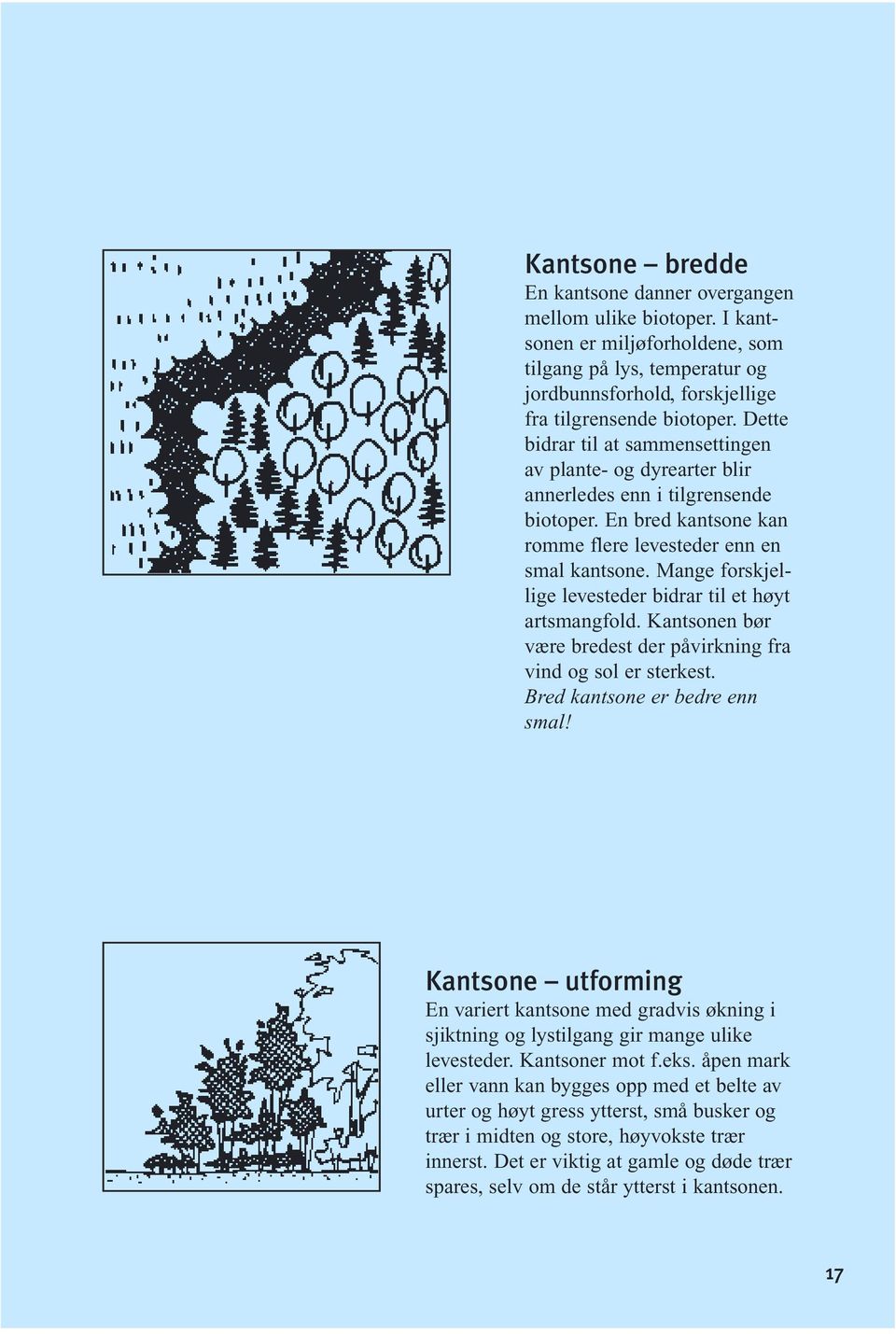 Mange forskjellige levesteder bidrar til et høyt artsmangfold. Kantsonen bør være bredest der påvirkning fra vind og sol er sterkest. Bred kantsone er bedre enn smal!