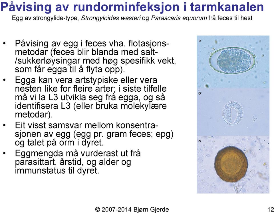 Egga kan vera artstypiske eller vera nesten like for fleire arter; i siste tilfelle må vi la L3 utvikla seg frå egga, og så identifisera L3 (eller bruka molekylære