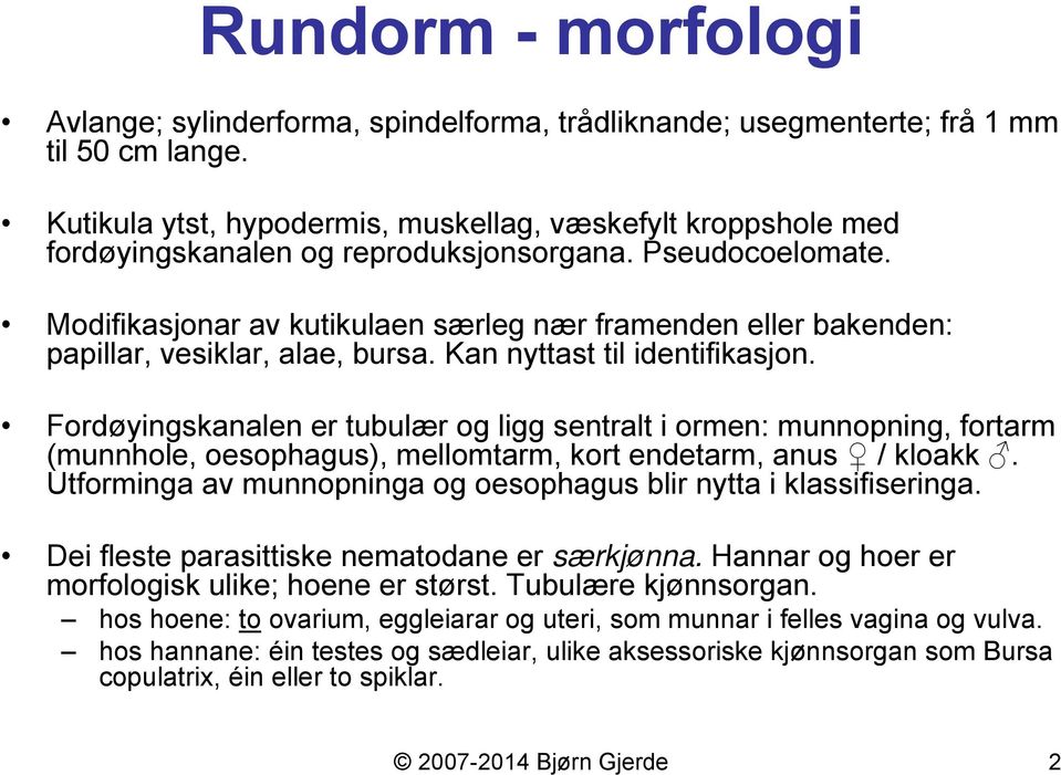 Modifikasjonar av kutikulaen særleg nær framenden eller bakenden: papillar, vesiklar, alae, bursa. Kan nyttast til identifikasjon.