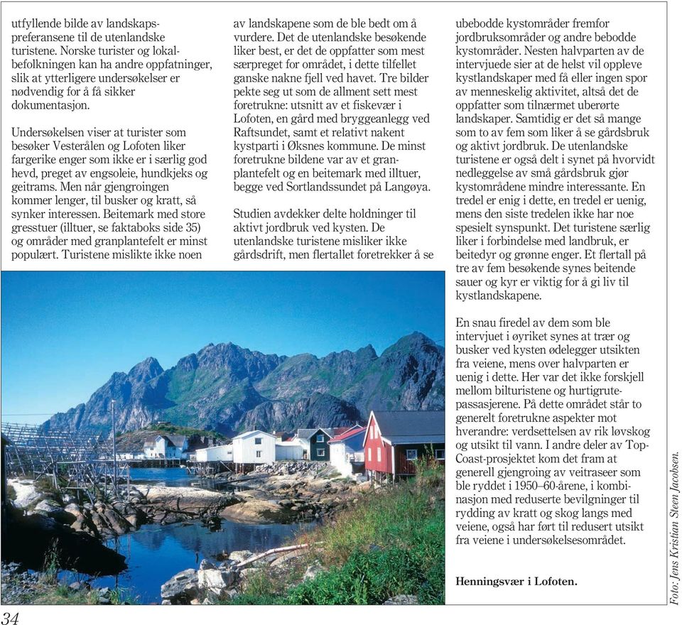 Undersøkelsen viser at turister som besøker Vesterålen og Lofoten liker fargerike enger som ikke er i særlig god hevd, preget av engsoleie, hundkjeks og geitrams.