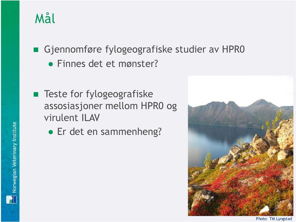 Teste for fylogeografiske assosiasjoner