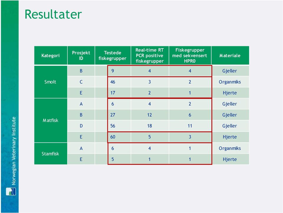 Gjeller Smolt C 46 3 2 Organmiks E 17 2 1 Hjerte A 6 4 2 Gjeller Matfisk B 27