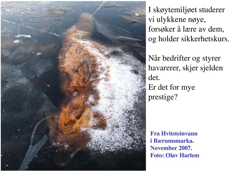 Når bedrifter og styrer havarerer, skjer sjelden det.