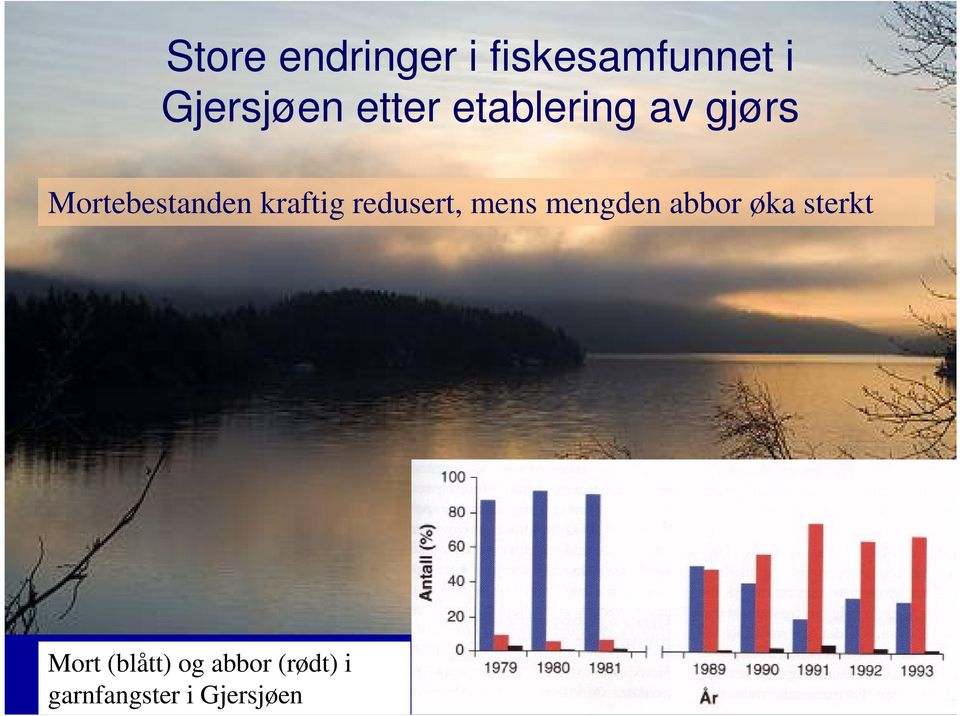 kraftig redusert, mens mengden abbor øka sterkt