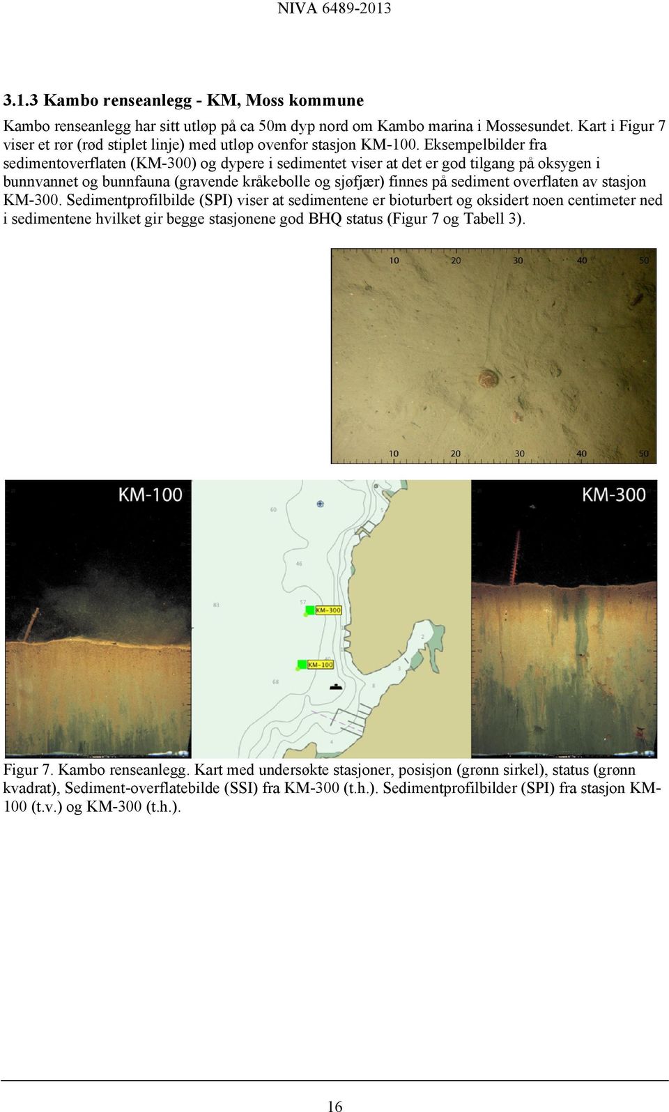 Eksempelbilder fra sedimentoverflaten (KM-300) og dypere i sedimentet viser at det er god tilgang på oksygen i bunnvannet og bunnfauna (gravende kråkebolle og sjøfjær) finnes på sediment overflaten