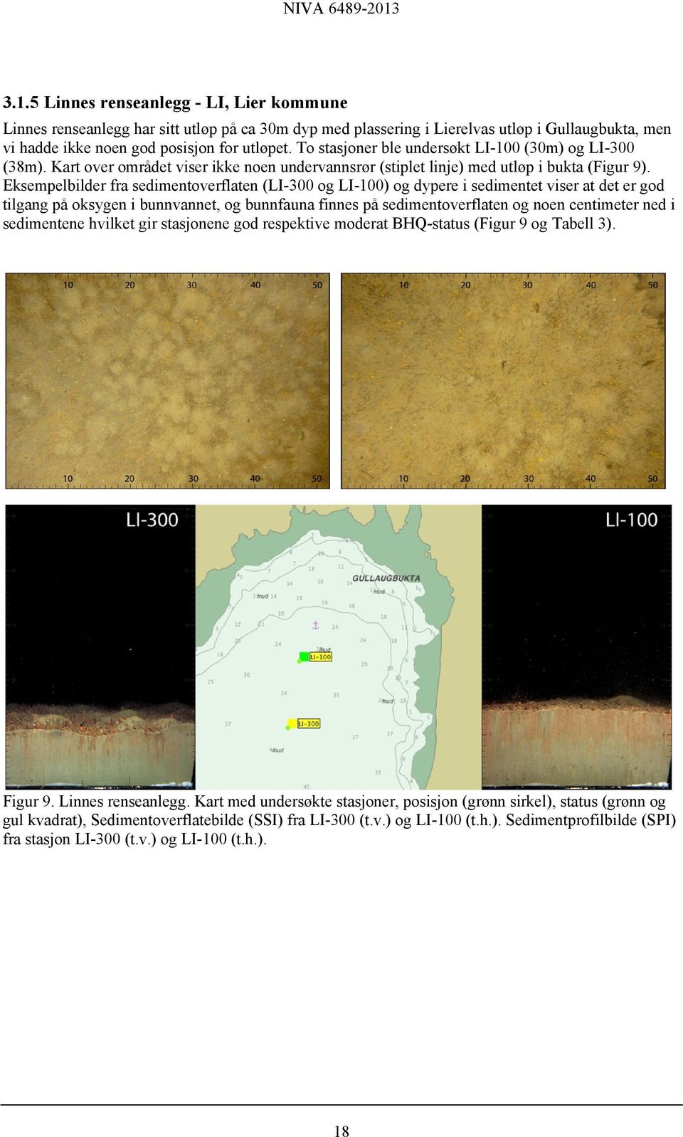 Eksempelbilder fra sedimentoverflaten (LI-300 og LI-100) og dypere i sedimentet viser at det er god tilgang på oksygen i bunnvannet, og bunnfauna finnes på sedimentoverflaten og noen centimeter ned i