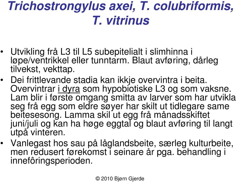 Lam blir i første omgang smitta av larver som har utvikla seg frå egg som eldre søyer har skilt ut tidlegare same beitesesong.