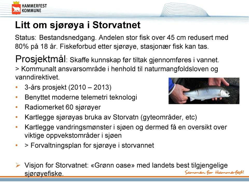 3-års prosjekt (2010 2013) Benyttet moderne telemetri teknologi Radiomerket 60 sjørøyer Kartlegge sjørøyas bruka av Storvatn (gyteområder, etc) Kartlegge